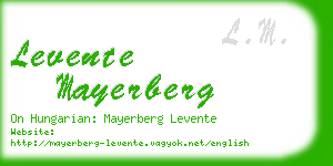 levente mayerberg business card